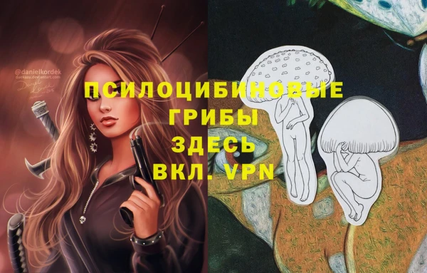 дурь Алексеевка