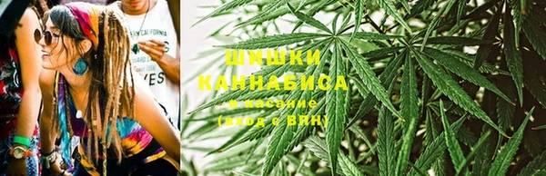 дурь Алексеевка